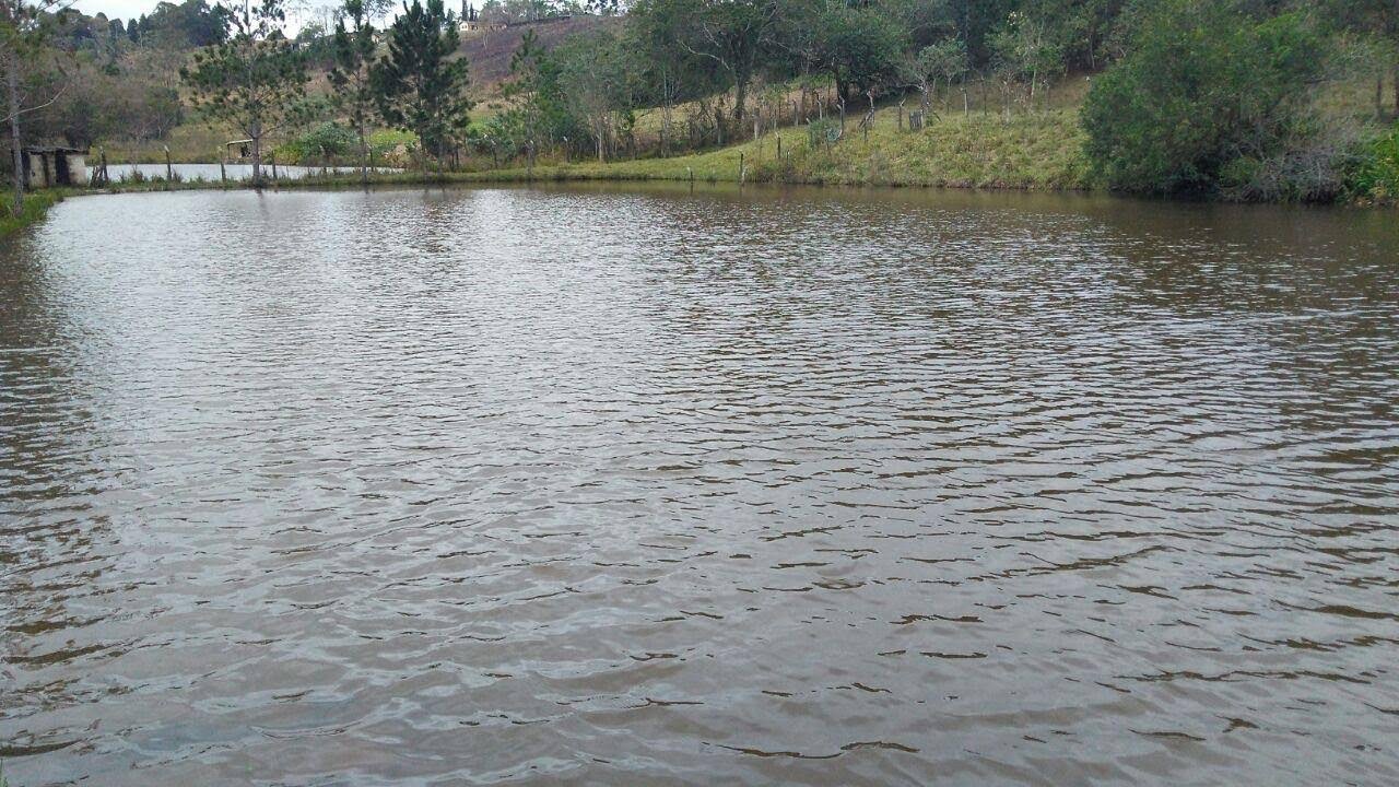 Lago